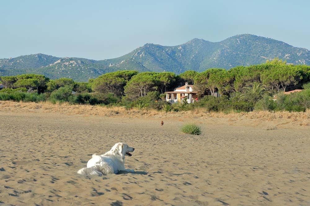 Bed and Breakfast Mirto E Mare Muravera Exterior foto