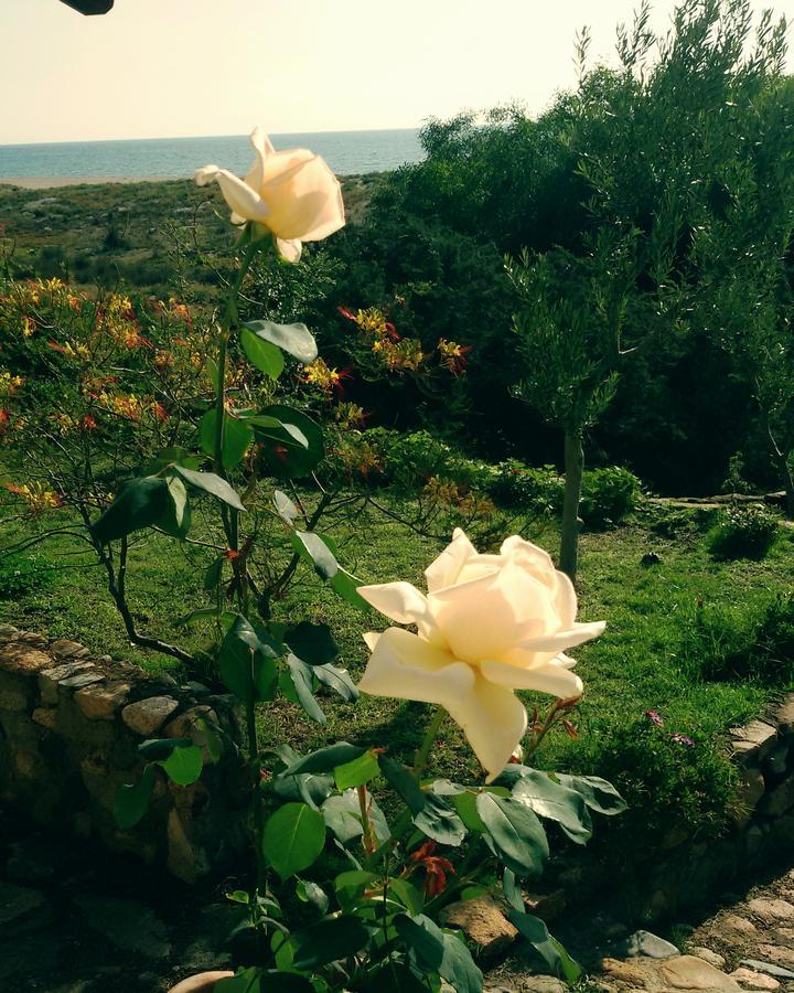 Bed and Breakfast Mirto E Mare Muravera Exterior foto